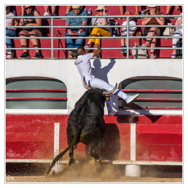 Course Camarguaise Palavas les Flots