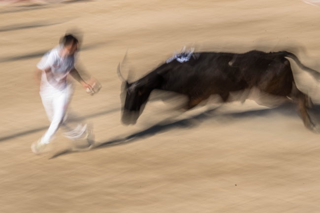 Course Camarguaise Palavas les Flots