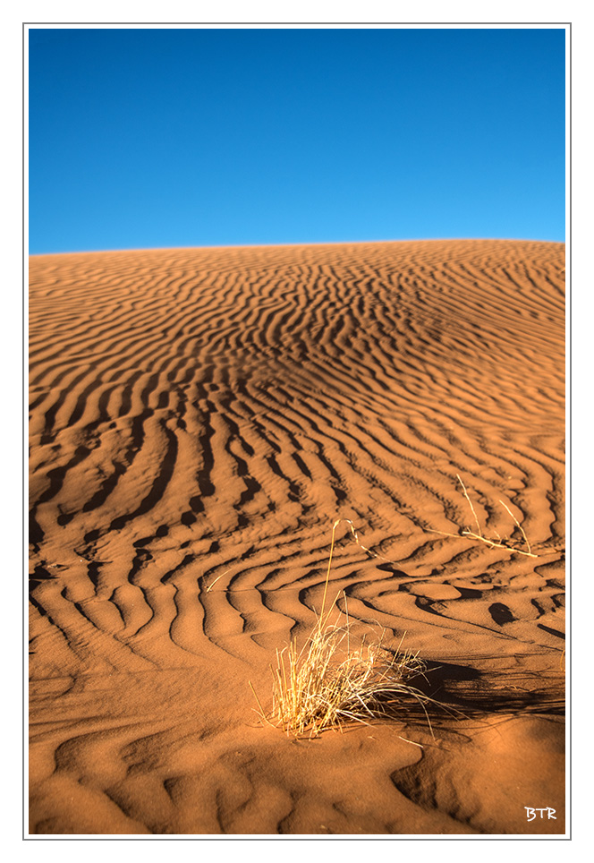 Trace dans les dunes