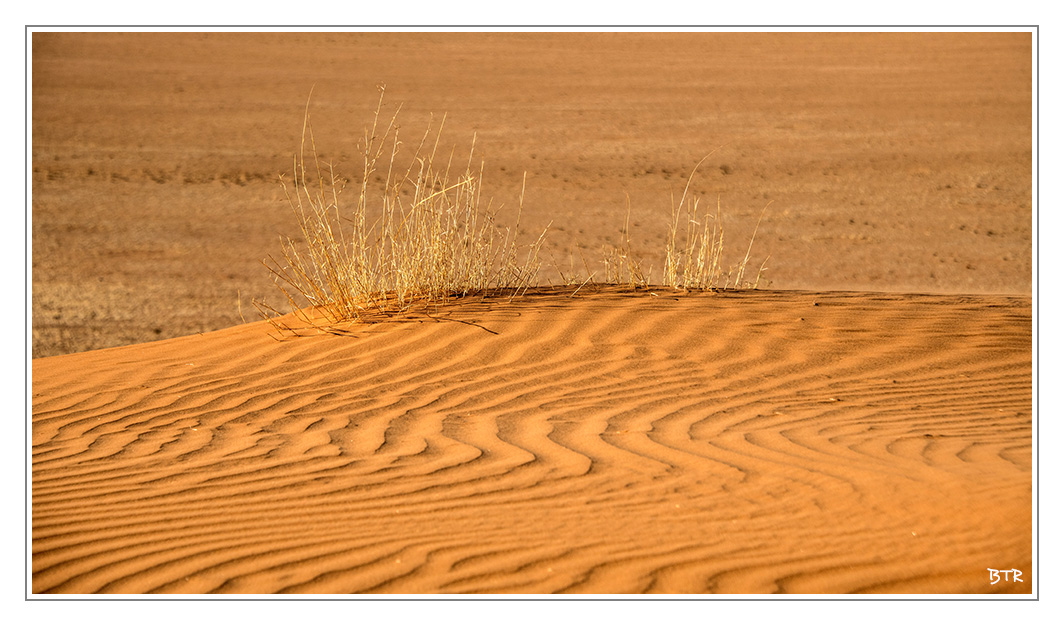 Les dunes