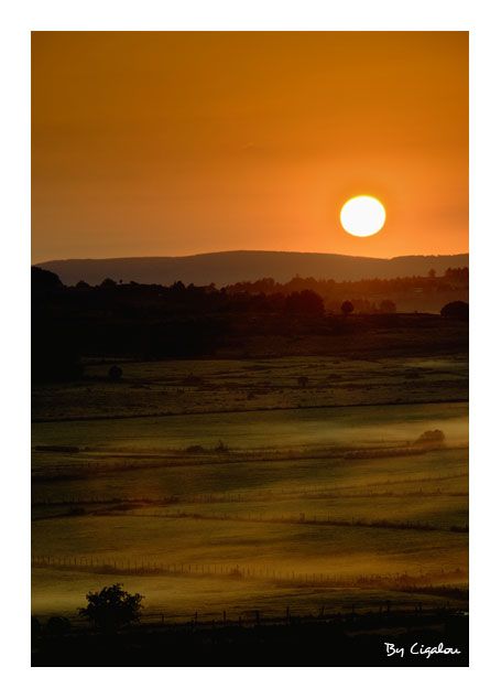 Aubrac lever du jour brume