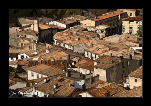 les toits de carcassonne