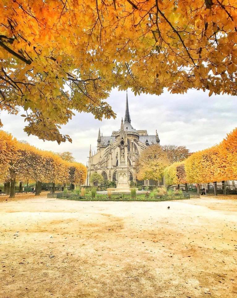 Cathédrale Notre Dame de Paris