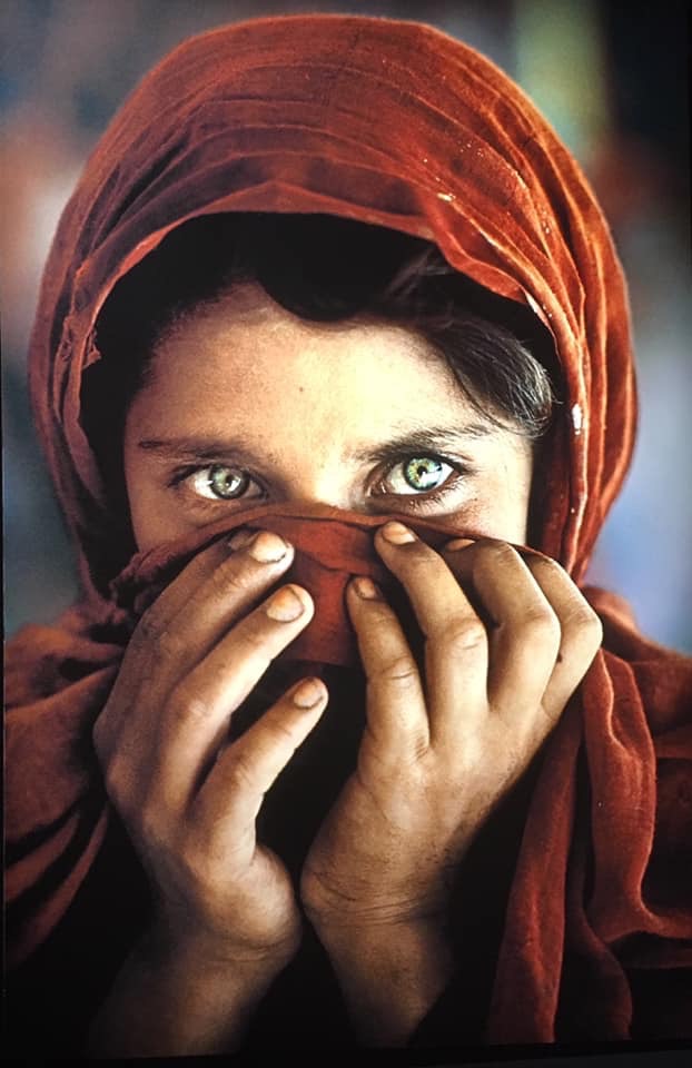 LE MONDE DE STEVE MC CURRY