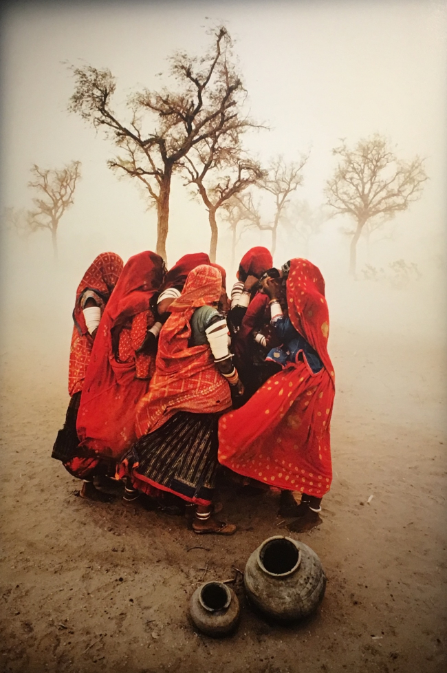 LE MONDE DE STEVE MC CURRY