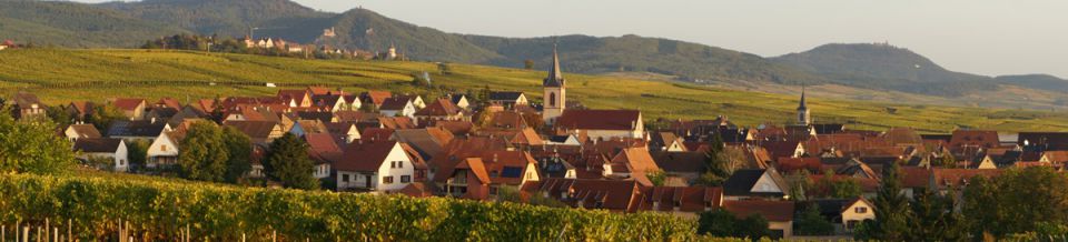 Gîte rural S'MULLERS Alsace Bas-Rhin Gingsheim Hochfelden