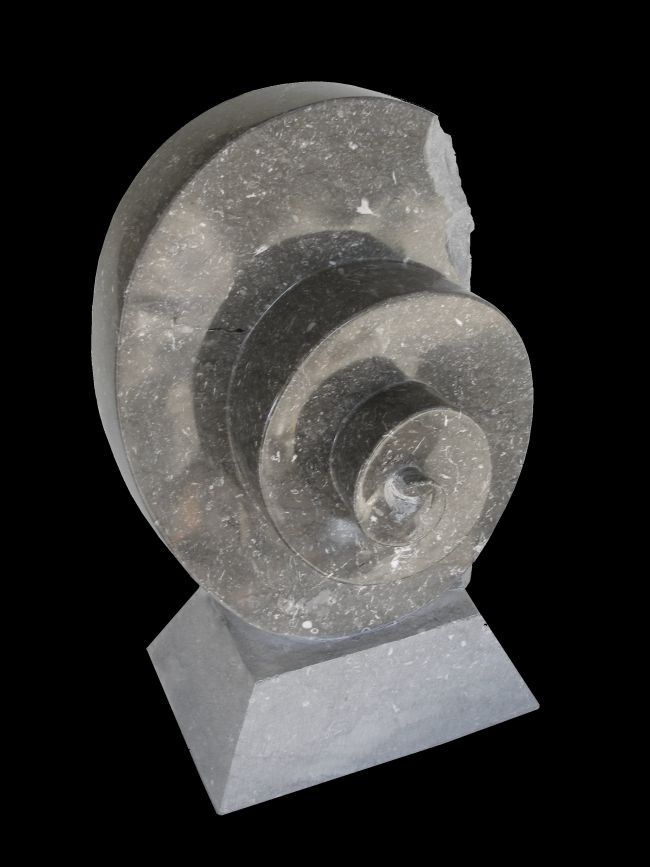 MERINOS marbre d' Arudy hauteur 65 cm