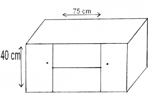 dessin Maxendre.jpg