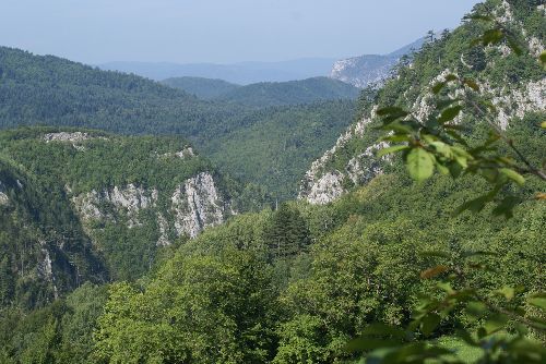 Vallée de Brusnica