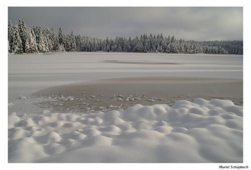 Etang de la Gruère (8)