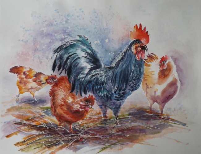 1209 - Le coq et ses poules