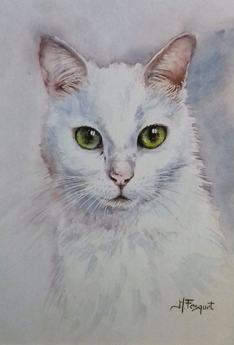 1285 - le chat blanc aux yeux verts