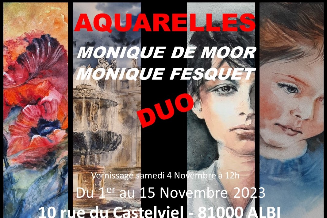 novembre 2023 - ALBI Castelviel