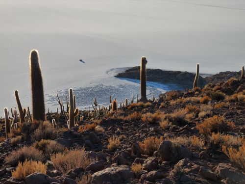 la tâche sur le salar: cyrano et popo