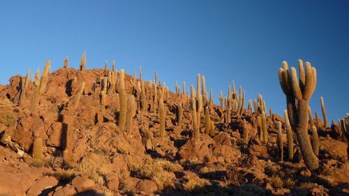 le coucher de soleil intensifie la pureté du paysage