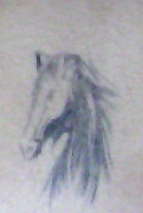 Mon cheval,situé en bas de mon dos