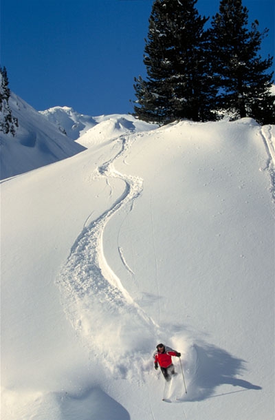 ski-freeride.jpg