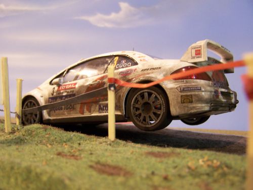 307 WRC de J-D avec le fond de Stéphane