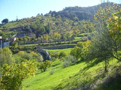 Verdure d'automne à Lemroudj