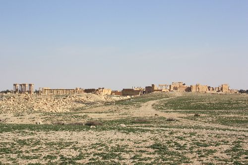 Palmyre vue du fond du site.