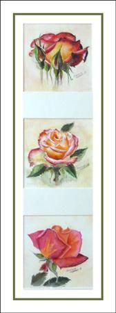 Triptyque de roses