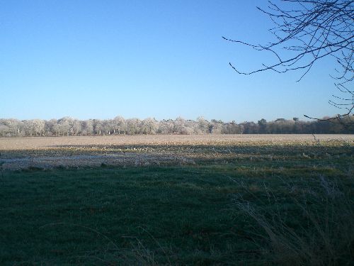 vue de la maison