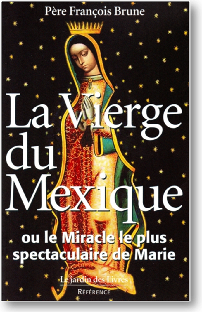 La Vierge du Mexique.png