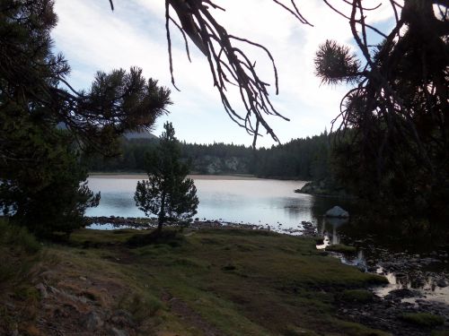 Estany del Viver - site des Bouillouses 15 08 12