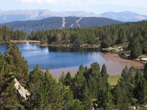 Estany del Viver - site des Bouillouses 15 08 12