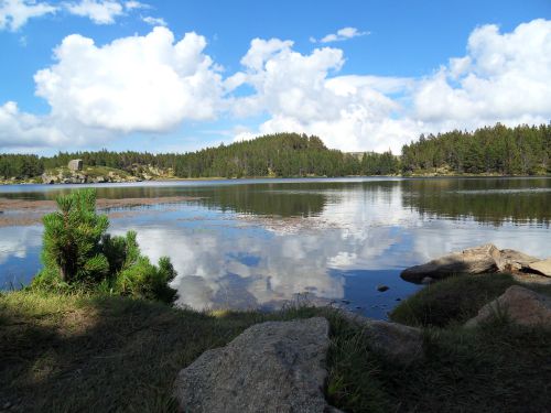 Estany del Viver - site des Bouillouses 15 08 12