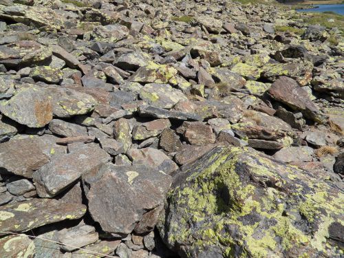 Estany de Trebens - site des Bouillouses 15 08 12