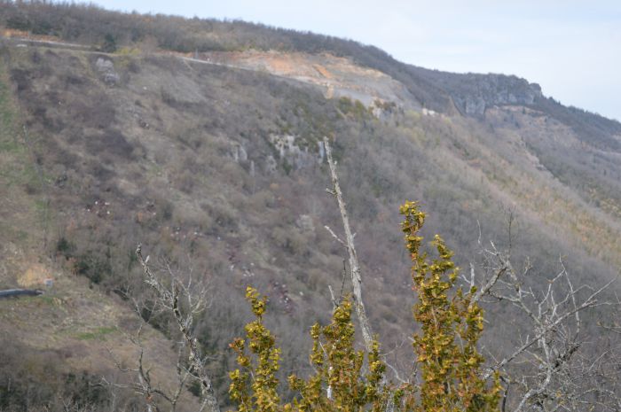 Juste à coté des tonnes de fer rouillées 15 03 2014