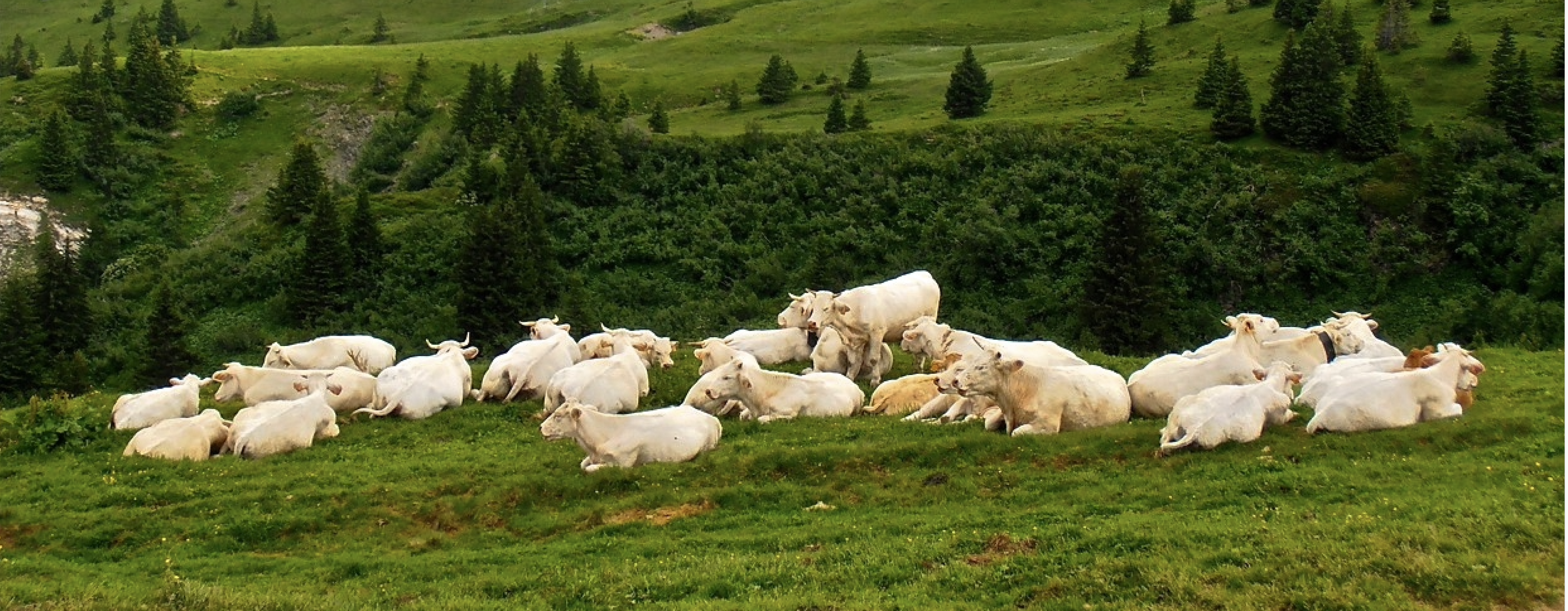 Deux grenoblois dans le sud