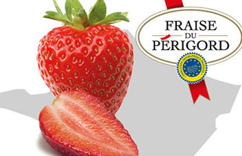 fraise-igp-logo