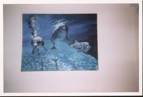 Dauphins (acrylique sur toile)