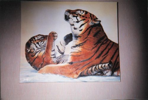 Tigres (acrylique sur toile)