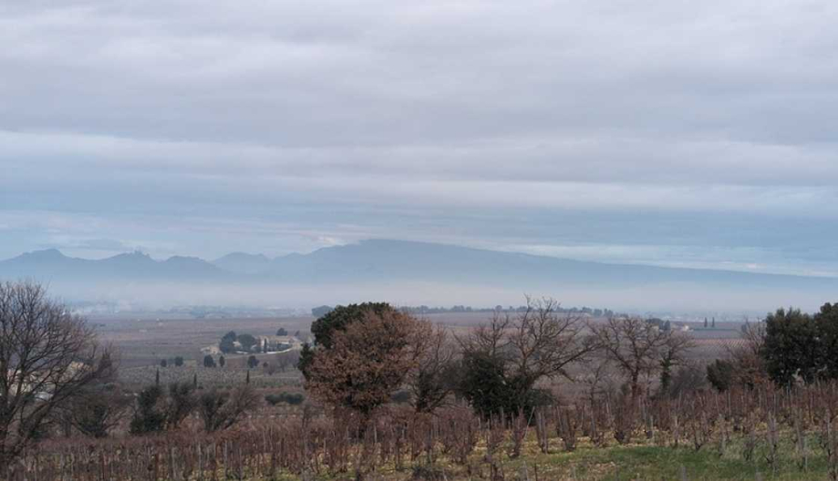 Châteauneuf-du-Pape (84), France
le lundi 20 janvier 2025 à 17h19

