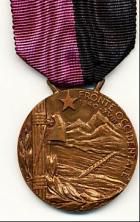 Medaglia commemorativa della battaglia del Fronte Alpino Occidentale