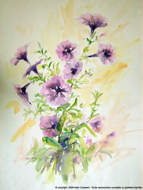 Fleurs violettes  (aquarelle)
