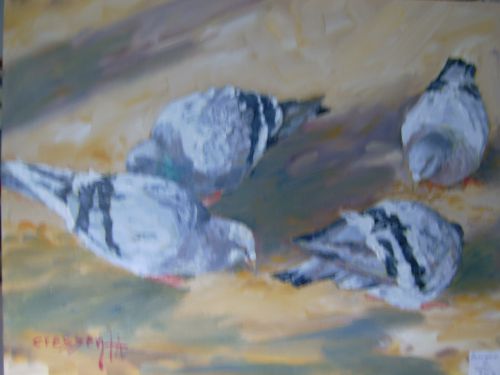 Les pigeons      ( huile 61x50 )