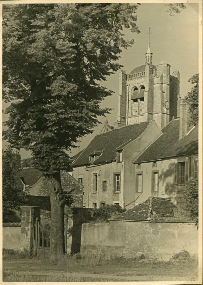 Arbre de la Liberté en 1951