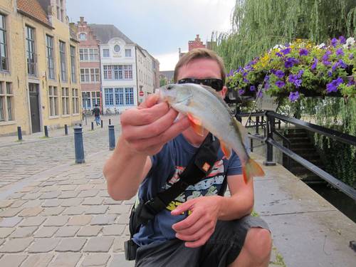 IMG_3447.JPG