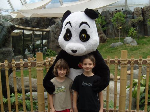 Un pandas et les filles