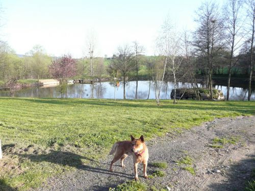 Arrêt pic-nic près d'un étang