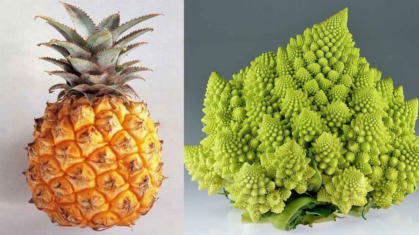 Ananas et brocoli.jpg
