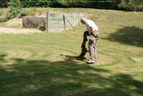 Dixie et Alain en demonstration