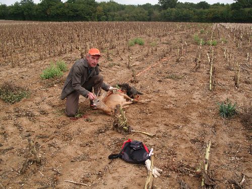 1ere réussite de Alain Le Gouezigou et Dixie : 1 an