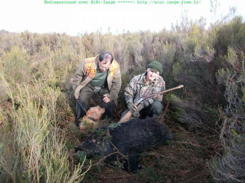 Tir d'affût retrouvé avec l'aide de Saria et de son maître, Richard, conducteur UNUCR