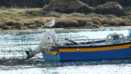 © Jean-Claude.G44 - Que la Bretagne est belle