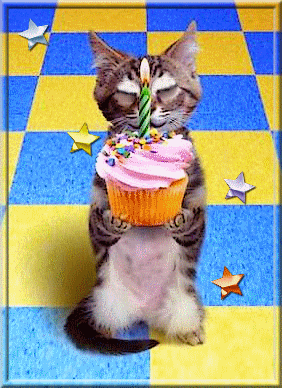 chat joyeux anniversaire